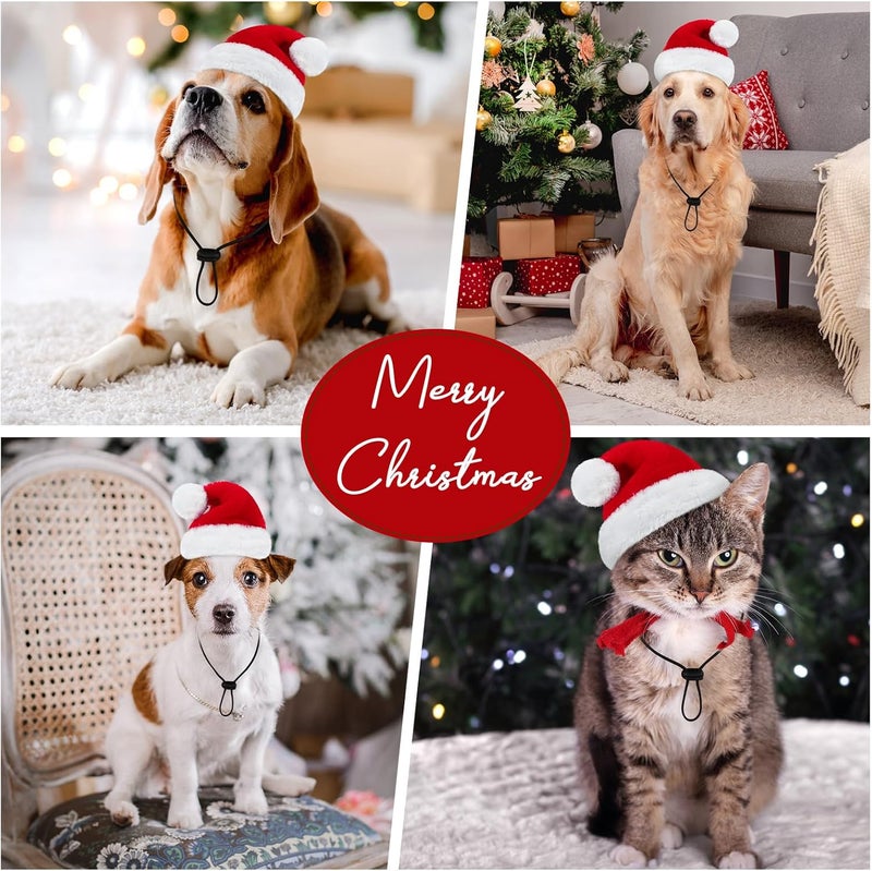 Queenmore Santa Hat for Dogs and Cats, Funny Tiny Christmas Hat for Small Dogs, Soft Plush Festive Red & White Santa Claus Costume, Christmas Dog Costume Cat Costume with Adjustable Band, S - Image 3